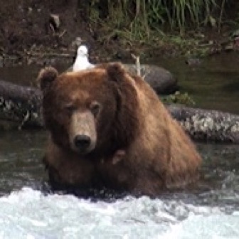 Screen Shot 2016-07-08 at 9.17.45 PM.jpg